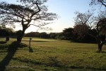 Mtunzini -  Country Club  - Golf Fairway View -  (4).JPG
