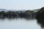 Mtunzini - Lagoon (4)