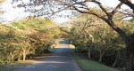 Mtunzini -Link road to lagoon -   (5)