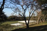 Mtunzini - Mtunzini Primary School - .JPG (3)