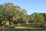Mtunzini - Mtunzini Primary School - .JPG (4)