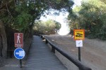 Mtunzini - Nature Reserve - (96)