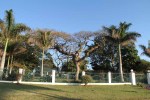 Mtunzini - Room with a View   (23)