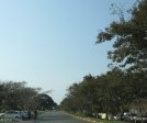 mtunzini-main-street-s-28-56-776-e-31-45-584-elev-75m-2