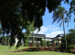 Morningside - Innes Road - 240 Innes - (2)