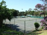 Morningside - Mitchell Park Tennis Club - . (2)