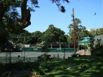 Morningside - Mitchell Park Tennis Club - . (3)