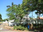Morningside - Venice Road - 129  (2)