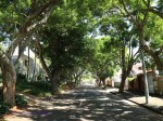 Morningside - Venice Road - street view -  (1)