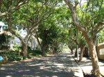 Morningside - Venice Road - street view -  (2)
