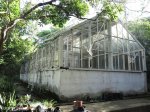 berea-botanic-garden-herbarium-st-thomas-rd-s-29-50-828-e-31-00-366-elev-29m-17