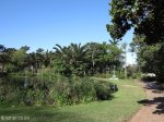 berea-curries-fountain-statue-botanic-gardens-s-29-50-909-e-31-00-396-elev-19m-1