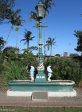 berea-curries-fountain-statue-botanic-gardens-s-29-50-909-e-31-00-396-elev-19m-3