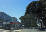 morningside-cowey-rd-bread-ahead-s-29-50-612-e-31-00-437-elev-52m-5
