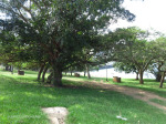 Nagle Dam - Msinsi Picnic site (1)