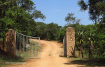 Nagle Dam camp site (2)