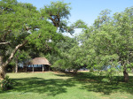 Nagle Dam camp site (7)