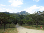 Nagle Dam  camp site