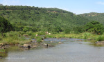 Nagle Dam main dam wall and spillway (3)