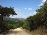 Nagle Dam upper reaches (4)