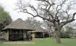 Ndumo Game Reserve Rest Camp chalets (3)