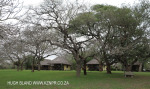 Ndumo Game Reserve Rest Camp chalets (5)