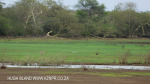 Ndumo Game Reserve pans (4)