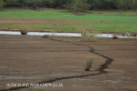 Ndumo Game Reserve pans (6)