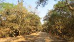 Ndumo Village - Approach Road (1)