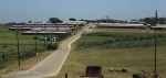 Ndwedwe Road - LIV Orphans Village - 29.33.738 S 31.02.787 E (3)