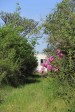 Ndwedwe Road - P100 - Farm - Derelict - 29.35978 S 31.03806 E (2)