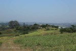 Ndwedwe Road - P100 - Farm - Derelict - 29.35978 S 31.03806 E (3)