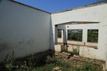 Ndwedwe Road - P100 - Farm south of P100 (10)