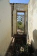 Ndwedwe Road - P100 - Farm south of P100 (11)