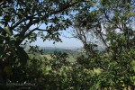 Ndwedwe Road - P100 - Farm south of P100 (14)