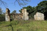 Ndwedwe Road - P100 - Farm south of P100 (2)