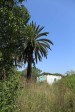 Ndwedwe Road - P100 - Farm south of P100 (21)