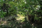 Ndwedwe Road - P100 - Farm south of P100 (22)