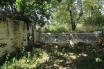 Ndwedwe Road - P100 - Farm south of P100 (26)