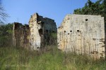 Ndwedwe Road - P100 - Farm south of P100 (27)