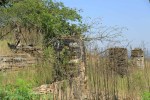 Ndwedwe Road - P100 - Farm south of P100 (29)