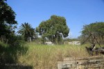 Ndwedwe Road - P100 - Farm south of P100 (31)