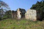 Ndwedwe Road - P100 - Farm south of P100 (32)
