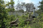Ndwedwe Road - P100 - Farm south of P100 (5)