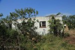 Ndwedwe Road - P100 - Farm south of P100 (6)