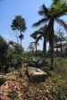 Ndwedwe Road - P100 - Old Temple & Residence - North of P100 - 29.33.738 S 31.02.787 E (33)
