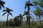 Ndwedwe Road - P100 - Old Temple & Residence - North of P100 - 29.33.738 S 31.02.787 E (35)