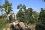 Ndwedwe Road - P100 - Old Temple & Residence - North of P100 - 29.33.738 S 31.02.787 E (40)