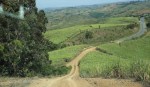 Ndwedwe Road - P100 - Old Temple & Residence - North of P100 - 29.33.738 S 31.02.787 E - approach road