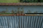 biggarsberg-hime-military-bridge-1883-s28-20-51-e-29-58-03-elev-1096m-1_0